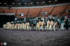 DSC07882-2 DSC07882-2