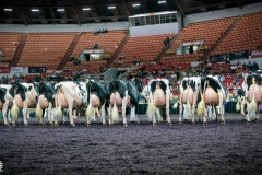 DSC07873-2 DSC07873-2