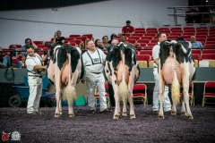 DSC07901-2 DSC07901-2