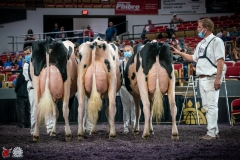 DSC07903-2 DSC07903-2