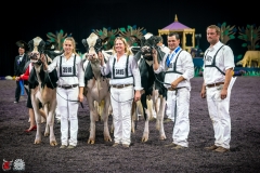 DSC07904-2 DSC07904-2