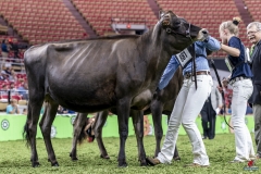 DSC06631-2 DSC06631-2