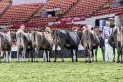 DSC06639-2 DSC06639-2