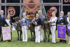 DSC06641-2 DSC06641-2