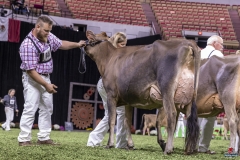 1_3G1A8301 1_3G1A8301