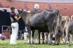 DSC06591-2 DSC06591-2