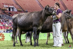 DSC06596-2 DSC06596-2