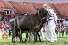 DSC06566-2 DSC06566-2