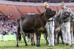 DSC06571-2 DSC06571-2