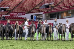 DSC06573-2 DSC06573-2