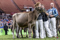 DSC06522-2 DSC06522-2