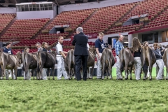 DSC06528-2 DSC06528-2