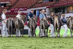 DSC06532-2 DSC06532-2