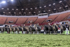 DSC06629-2 DSC06629-2