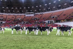 1_DSC01782 1_DSC01782