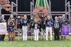 1_DSC01785 1_DSC01785