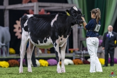 1_DSC05864 1_DSC05864