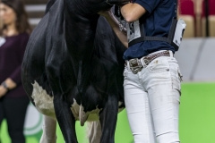 1_DSC05894 1_DSC05894