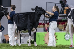 1_DSC05898 1_DSC05898