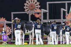 1_DSC05926 1_DSC05926