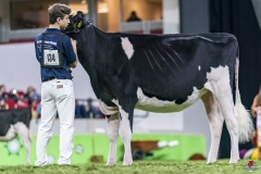 1_DSC05931 1_DSC05931