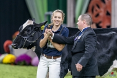 1_DSC05965 1_DSC05965