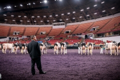 DSC01819-2 DSC01819-2