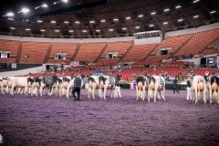 DSC01822-2 DSC01822-2