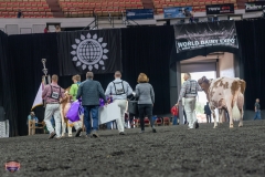 AR306699-4664 AR306699-4664