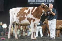 A9105786-4064 A9105786-4064