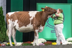 A9105795-4065 A9105795-4065