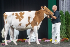 A9105803-4066 A9105803-4066