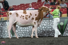 A9105805-4067 A9105805-4067