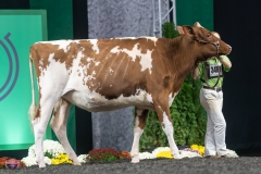 A9105807-4068 A9105807-4068