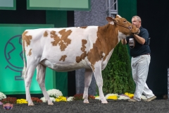 A9105814-4069 A9105814-4069