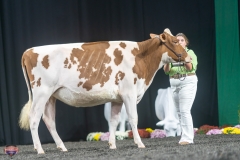 A9105818-4070 A9105818-4070