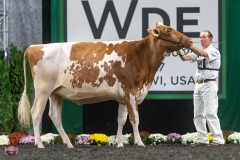 A9105819-4071 A9105819-4071