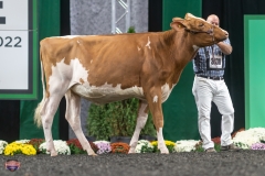 A9105828-4072 A9105828-4072