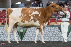 A9105829-4073 A9105829-4073