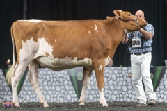 A9105830-4074 A9105830-4074