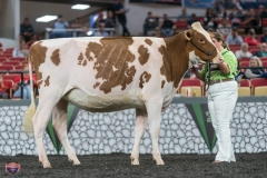 A9105832-4075 A9105832-4075