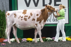 A9105833-4076 A9105833-4076