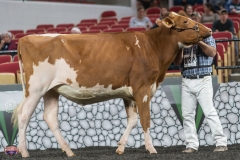 A9105835-4077 A9105835-4077