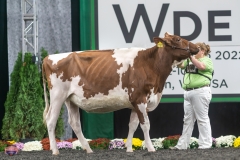 A9105838-4078 A9105838-4078