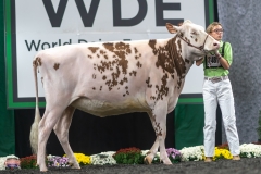 A9105841-4079 A9105841-4079