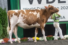 A9105843-4080 A9105843-4080