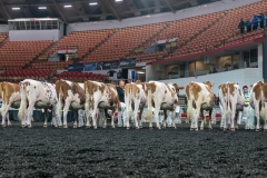 AR305704-4083 AR305704-4083