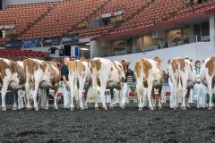 AR305705-4084 AR305705-4084