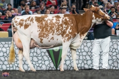 A9106407-4571 A9106407-4571