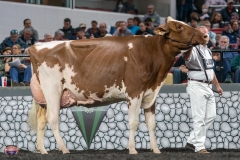 A9106409-4572 A9106409-4572